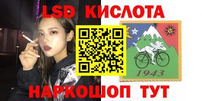 стафф Будённовск