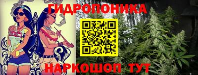 гашик Бузулук