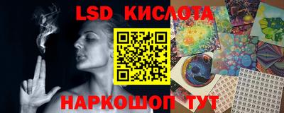 стафф Будённовск