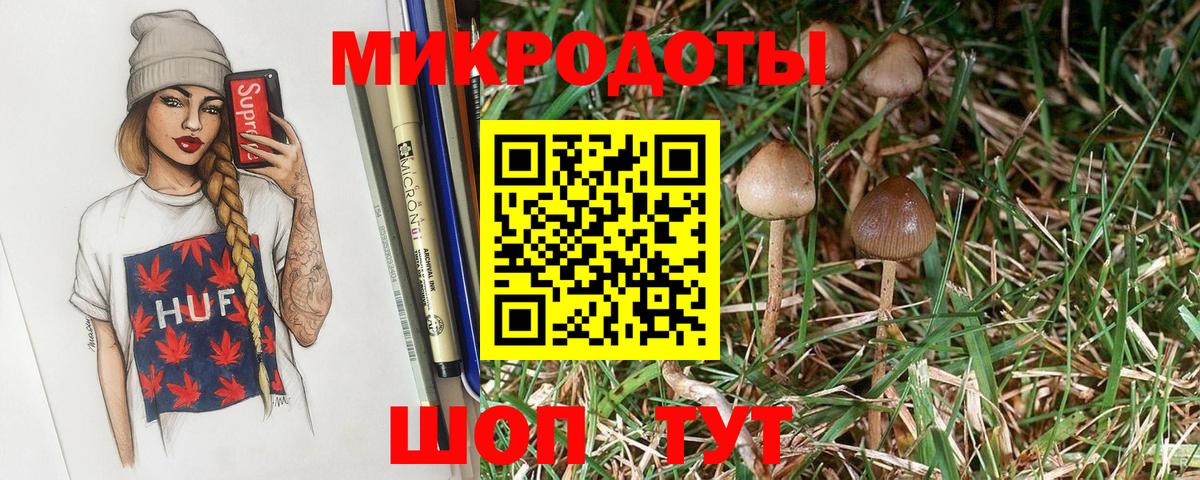 Сергиев Посад  Галлюциногенные грибы Magic Shrooms  Псилоцибиновые грибы прущие грибы  Вход с VPN 